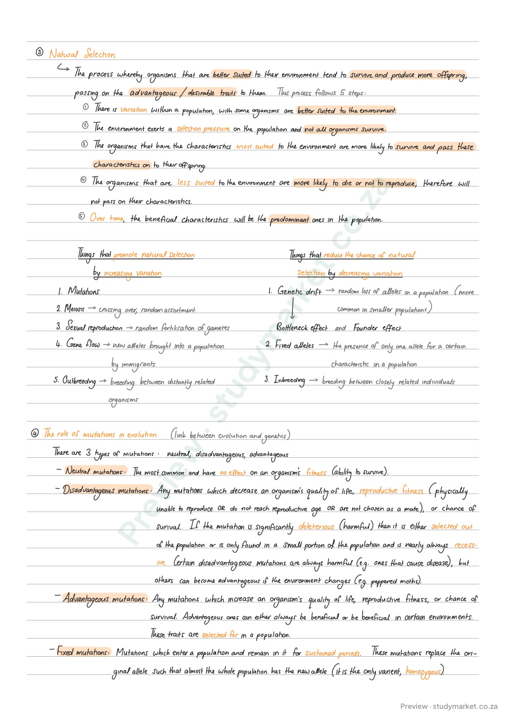 Preview page 2